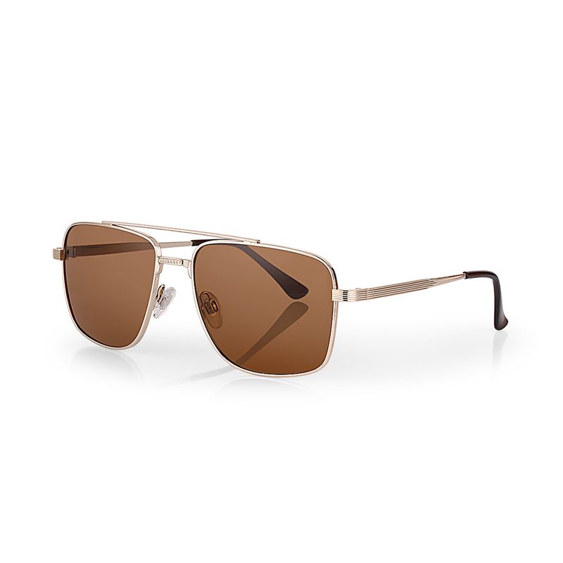 Ochelari de soare maro, pentru barbati, Daniel Klein Sunglasses, DK3258-3